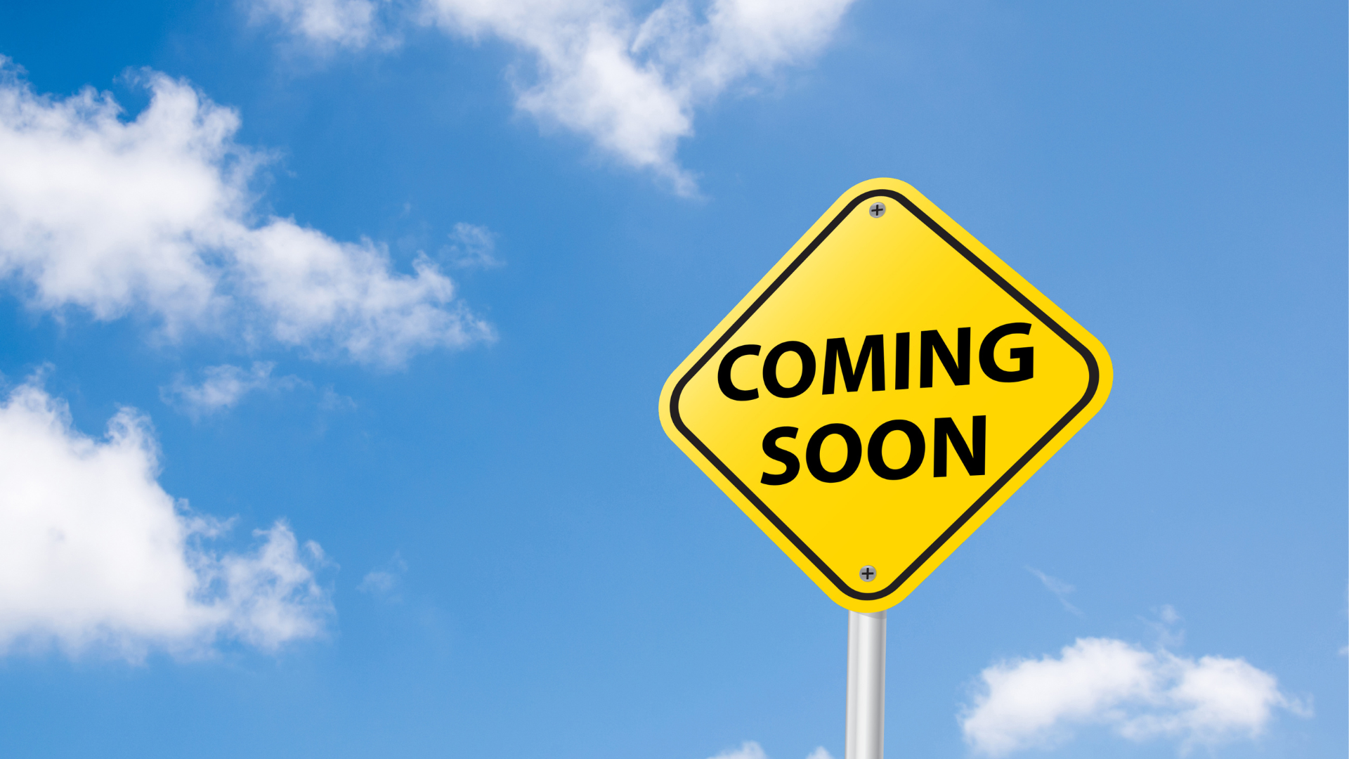 Newsletter December 2024