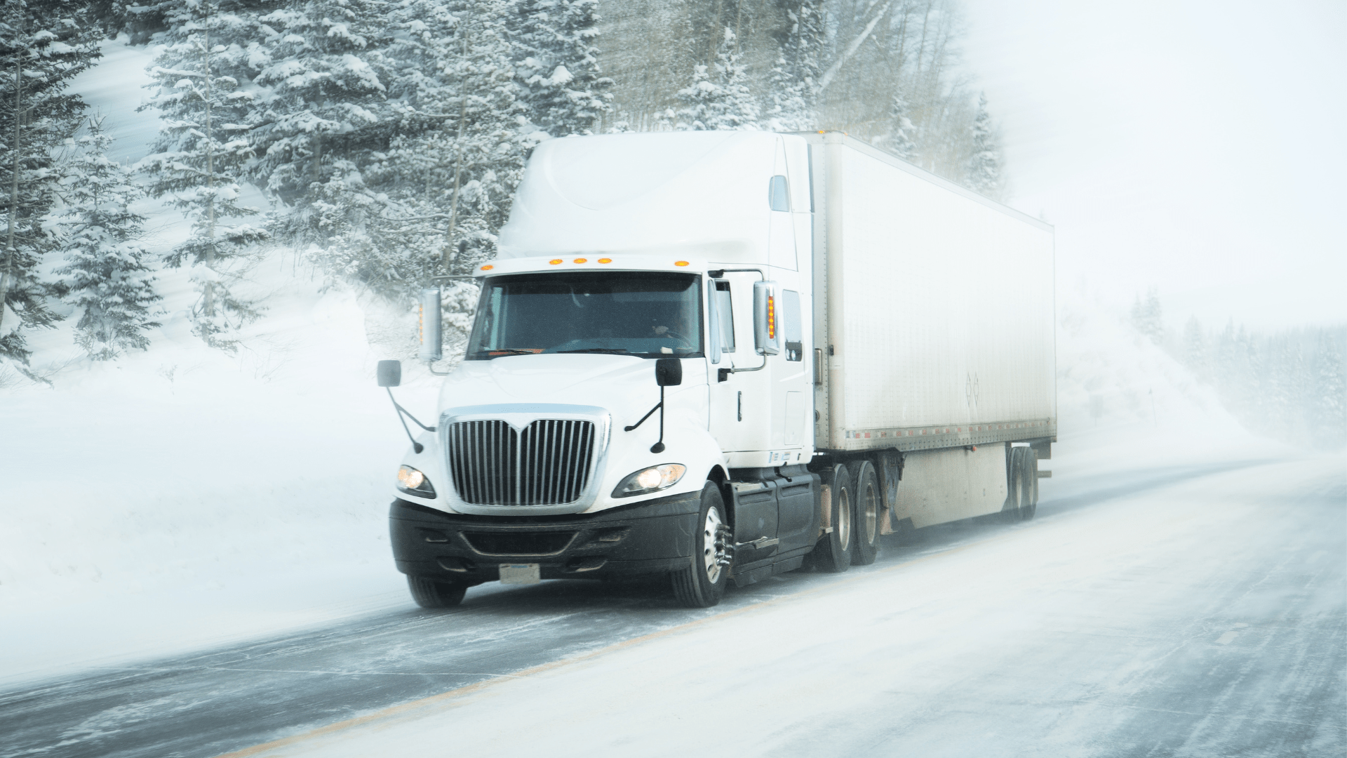 Newsletter March 2026